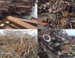 Những lợi ích kinh tế và ý nghĩa môi trường từ việc tái chế phế liệu